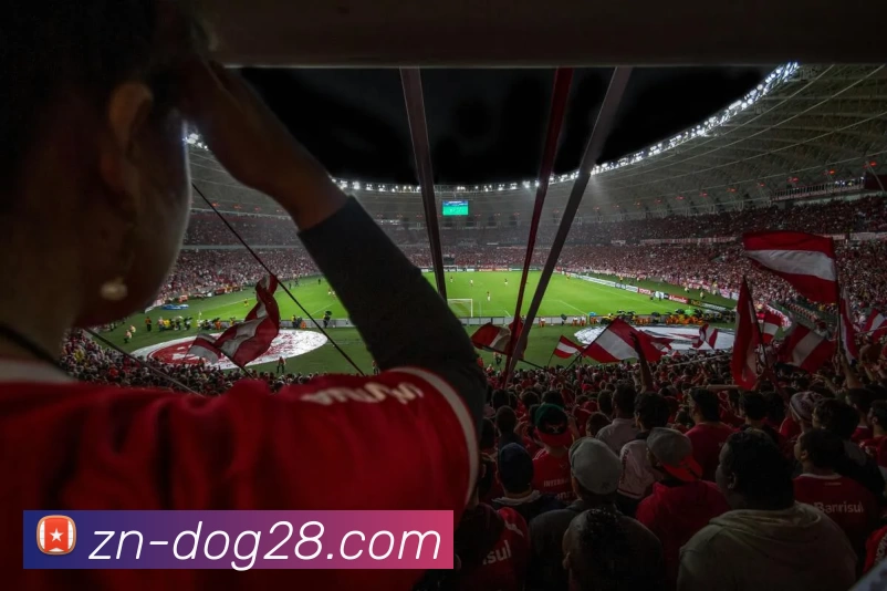 狗子28平台生态图