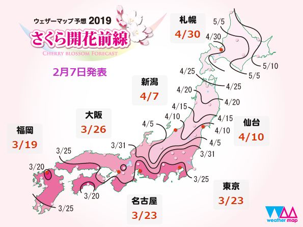  摩纳哥租借日本新星樱井纯 亚洲市场战略再升级  